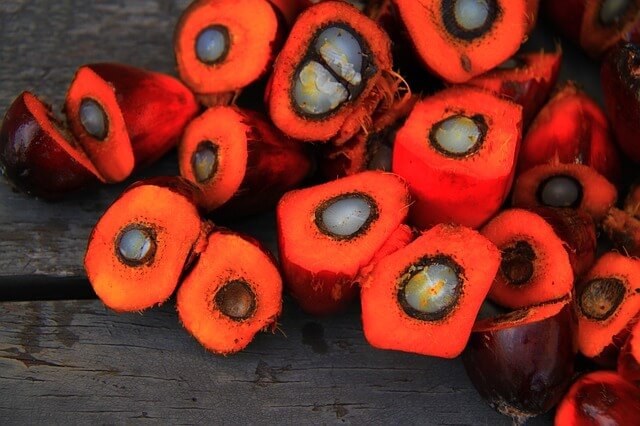 palm yağı görseli