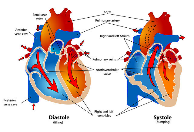sirke ve kalp sağlığı görseli