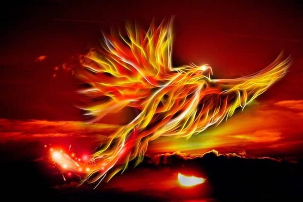 zümrüdü-anka-kuşu-gerçek-mi