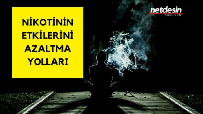 Nikotin Etkisini Azaltan Besinler