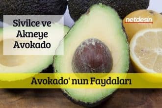 avokadonun-faydaları