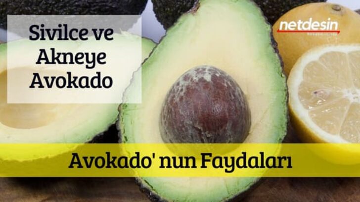 Avokado’nun Faydaları Nederdir?