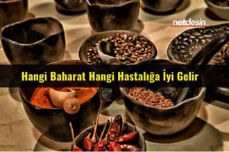 baharat-082028