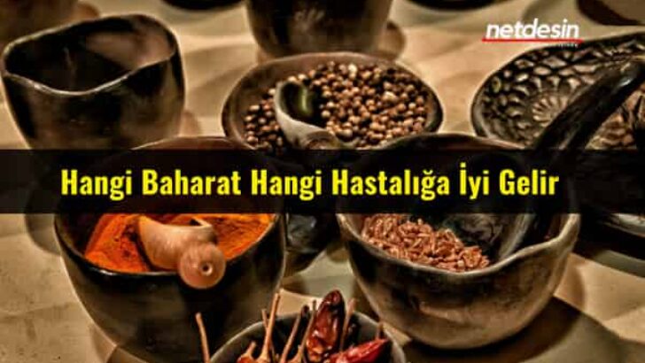Hangi Baharat Hangi Hastalıklara İyi Gelir.