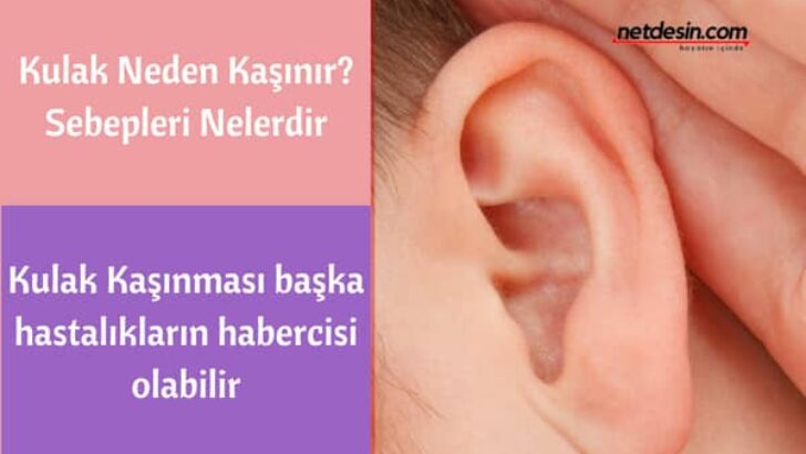 Kulak Kaşıntısının Sebepleri