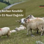 kurban18082018