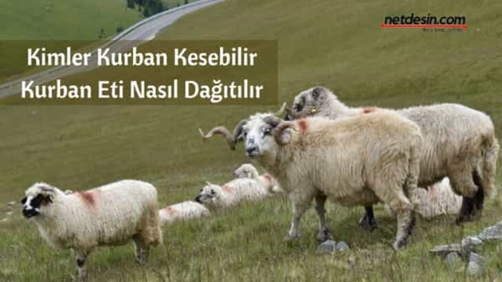 Kurban Eti Nasıl Dağıtılmalı