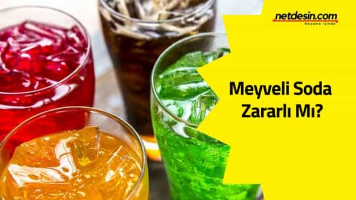 Meyveli Sodanın Zararları.