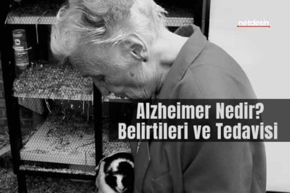 Alzheimer-nedir