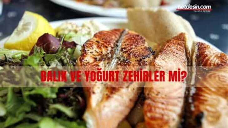 Balık ve Yoğurt Zehirlermi