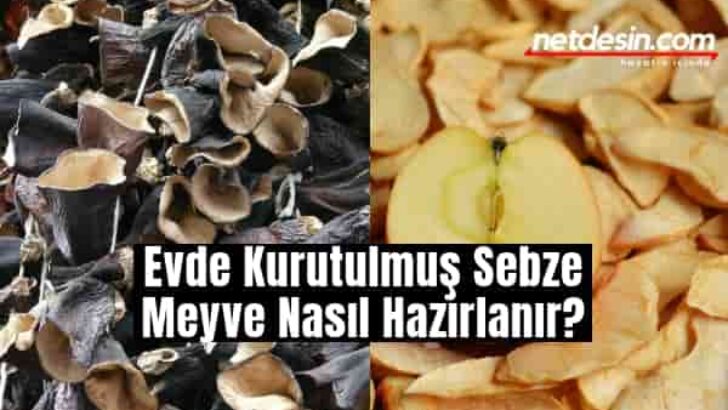 Evde Sebze Meyve Nasıl Kurutulur