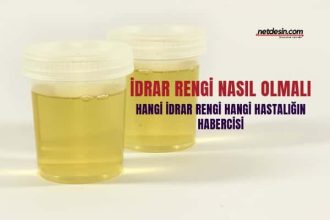 idrar-rengi