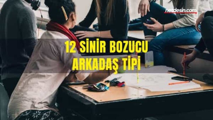 12 Sinir Bozucu Arkadaş Tipi