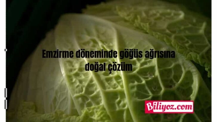 Emzirme Döneminde Göğüs Ağrısına Doğal Çözüm