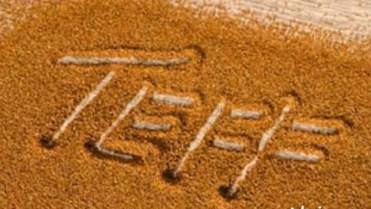 Teff Tohumu Yoğurtla Nasıl Tüketilir?