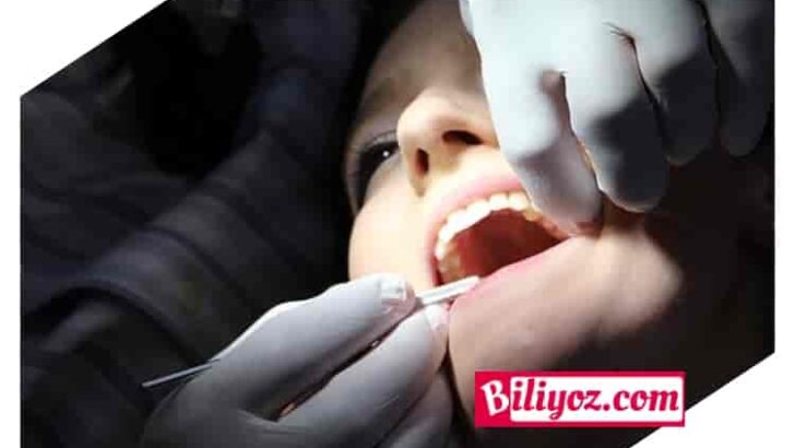 Diş Eti Çekilmesine Ne İyi Gelir Bitkisel Çözümler