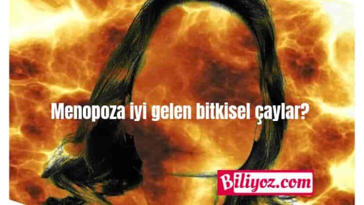 Menopoza İyi Gelen Bitkisel Çaylar Nelerdir?