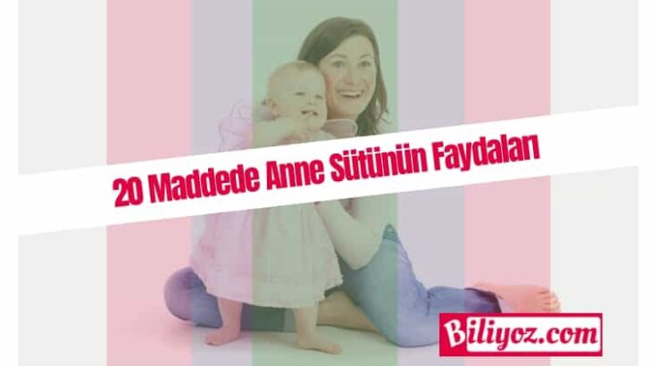 Anne Sütünün Faydaları, Anne Sütünün Yararları