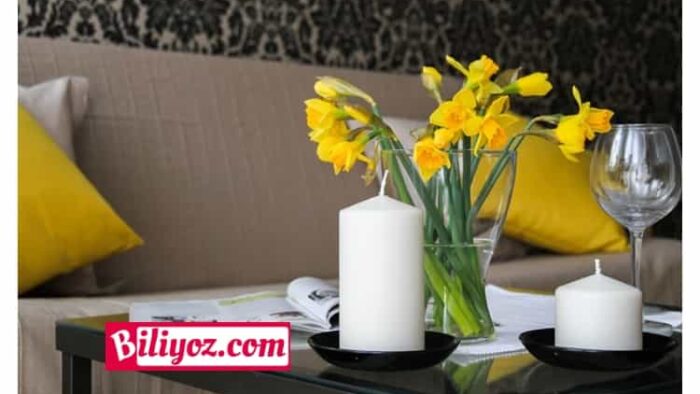 Ortamınızı Aydınlatacak 5 Ev Çiçeği
