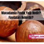 macadamia-yağı-faydaları