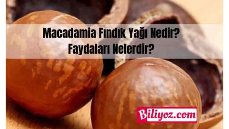 Macadamia Yağı Faydaları? Macadamia Fındığı