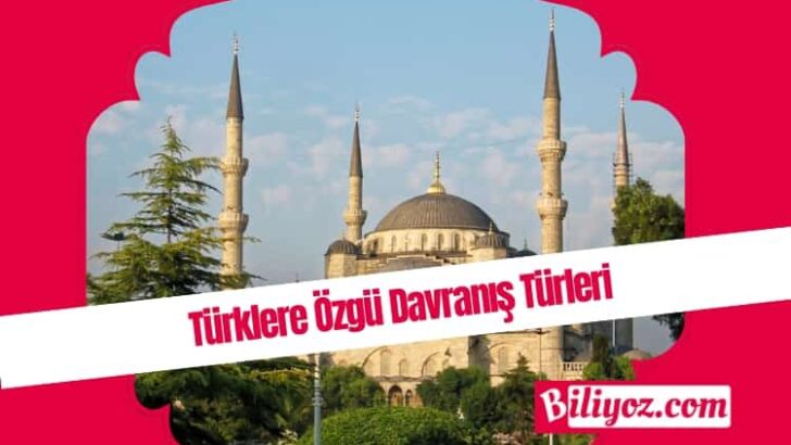 Türklere Özgü Davranış Modelleri.