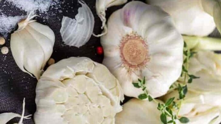 Çocuğa Sarımsak Yerdirmenin Faydaları Nelerdir?