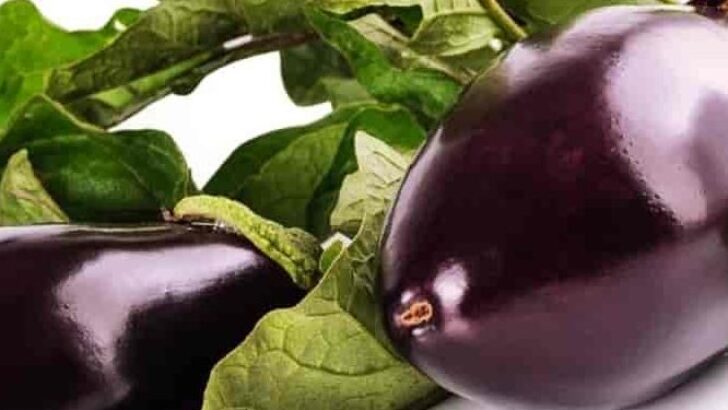 Patlıcanın Hiç Bilmediğiniz Faydaları Nelerdir.