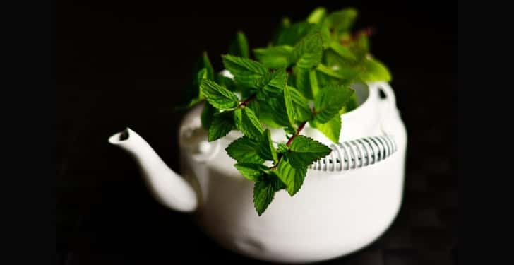Yeşil Çay Nasıl Demlenir