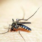 Sıtma nedir-sıtma belirtileri-sıtma tedavisi