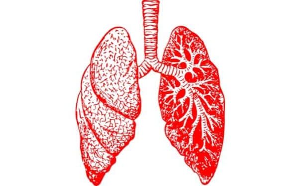 Bronşit belirtileri