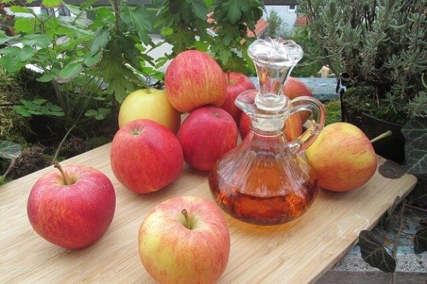 Sirkenin Faydalari Ile Saglikli Yasam