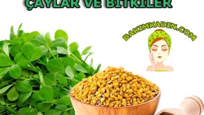 Hızlı Adet Söktürücü, Doğal Bitkiler ve Çaylar