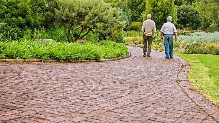 Parkinson Egzersizleri Hareketliliğe Yardımcı Olabilir