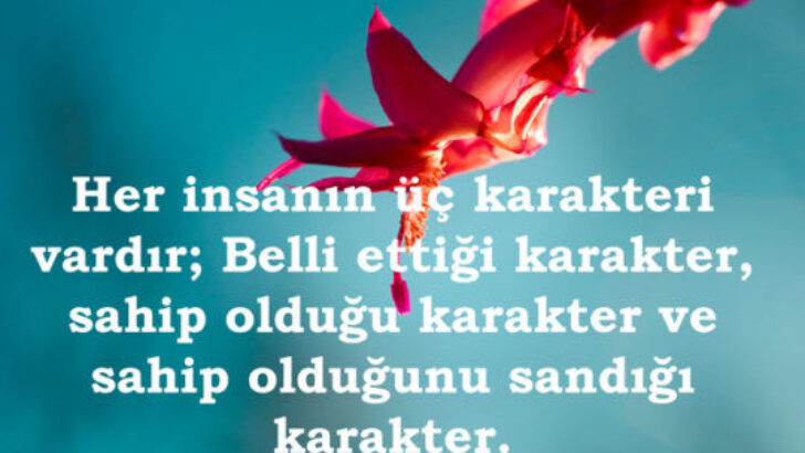 Bireyde Karakter ve Kişilik Nedir?