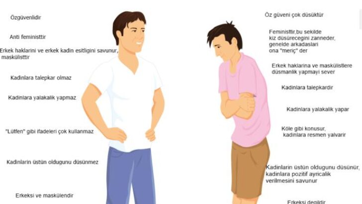 İnsanlarda Alfa, Beta, Omega Kişilikleri