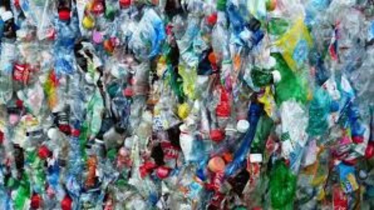 Plastiğin Dünyamıza Zararları