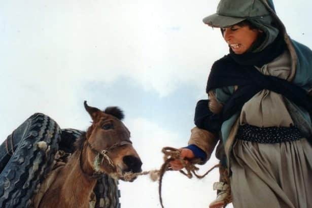 Sarhoş Atlar Zamanı