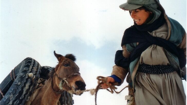 Sarhoş Atlar Zamanı (2000) Film Analizi