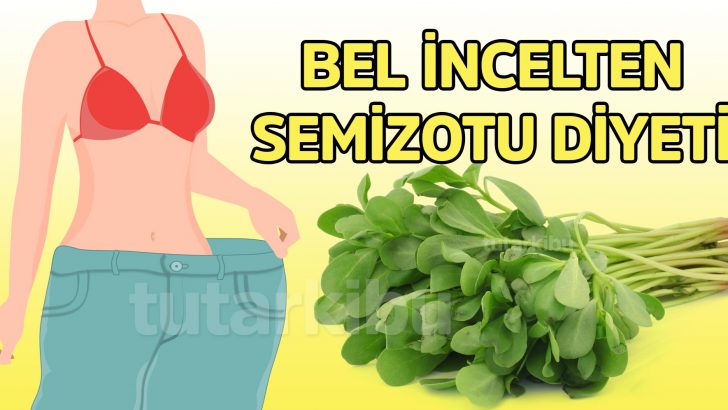Bir Haftalık Semizotu Diyeti Listesi