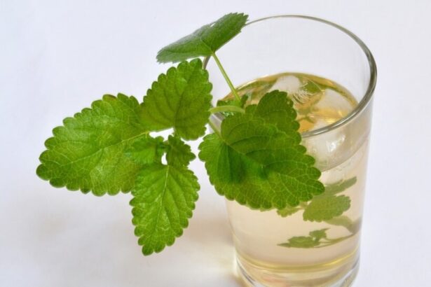 melisa çayının faydaları
